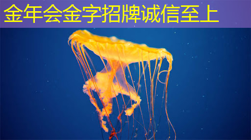 全球首颗!中国移动联合华为等,突破芯片新技术,GSE DPU芯片发布 全球首颗!中国移动联合华为等,突破芯片新技术,GSE DPU芯片发布