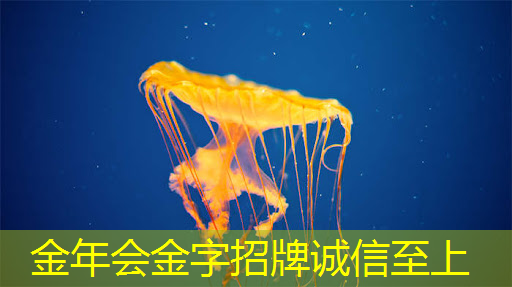 内置安全加密芯片是个什么鬼?看金立怎么玩转黑科技 内置安全加密芯片是个什么鬼?看金立怎么玩转黑科技