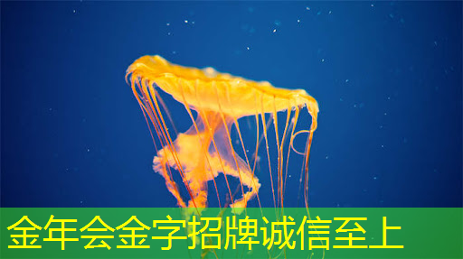 华为：申请聚合芯片控制专利，开启芯片技术新征程？