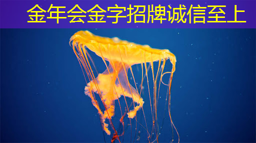 本周IT资讯速递 | 英伟达在AI芯片市场的主导地位,多模态领域技术突破,特斯拉全自动驾驶(FSD)软件的推广 本周IT资讯速递 | 英伟达在AI芯片市场的主导地位,多模态领域技术突破,特斯拉全自动驾驶(FSD)软件的推广